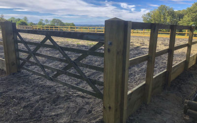 Post and Rail Fencing for Equestrian Sand School